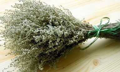 Wormwood ως μέσο καταπολέμησης των παρασίτων