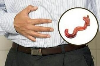 την επίδραση των παρασίτων στο ανθρώπινο σώμα