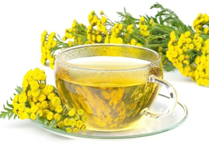 Αφέψημα tansy για παράσιτα στον οργανισμό